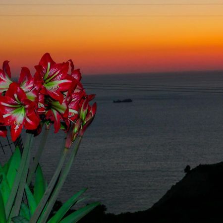 Sette Isole Countryside Apartment Αθάνι Εξωτερικό φωτογραφία