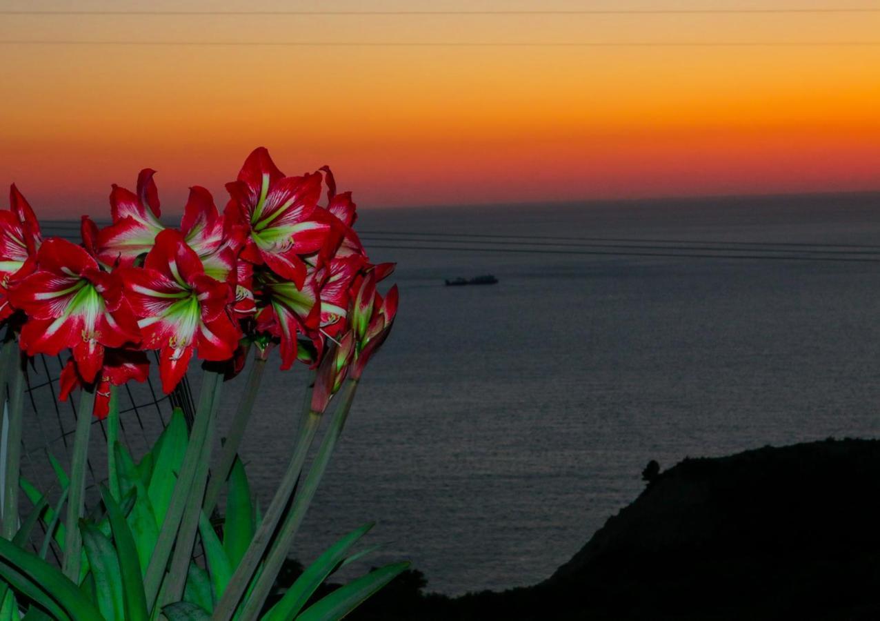 Sette Isole Countryside Apartment Αθάνι Εξωτερικό φωτογραφία